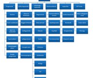 CsP2013organogram_nevek nélkül_V3.jpg