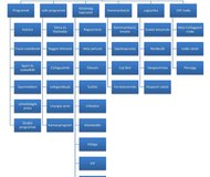 CsP2013organogram_nevek nélkül_v1.jpg